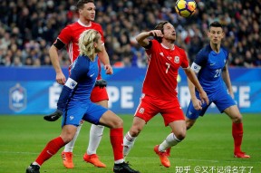 华体会登陆-克罗地亚国家队在比赛中大获全胜