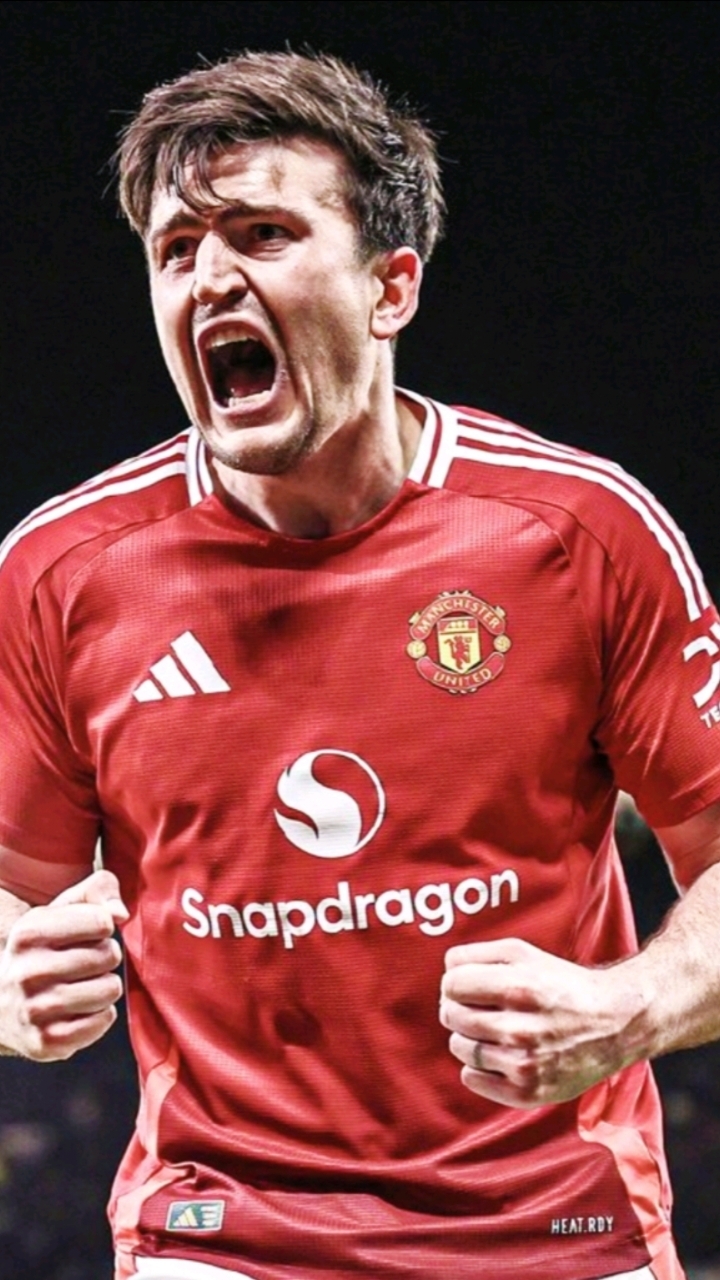 华体会hth-曼联险胜里昂,博格巴补时绝平法甲 第2张 华体会hth-曼联险胜里昂,博格巴补时绝平法甲 第2张