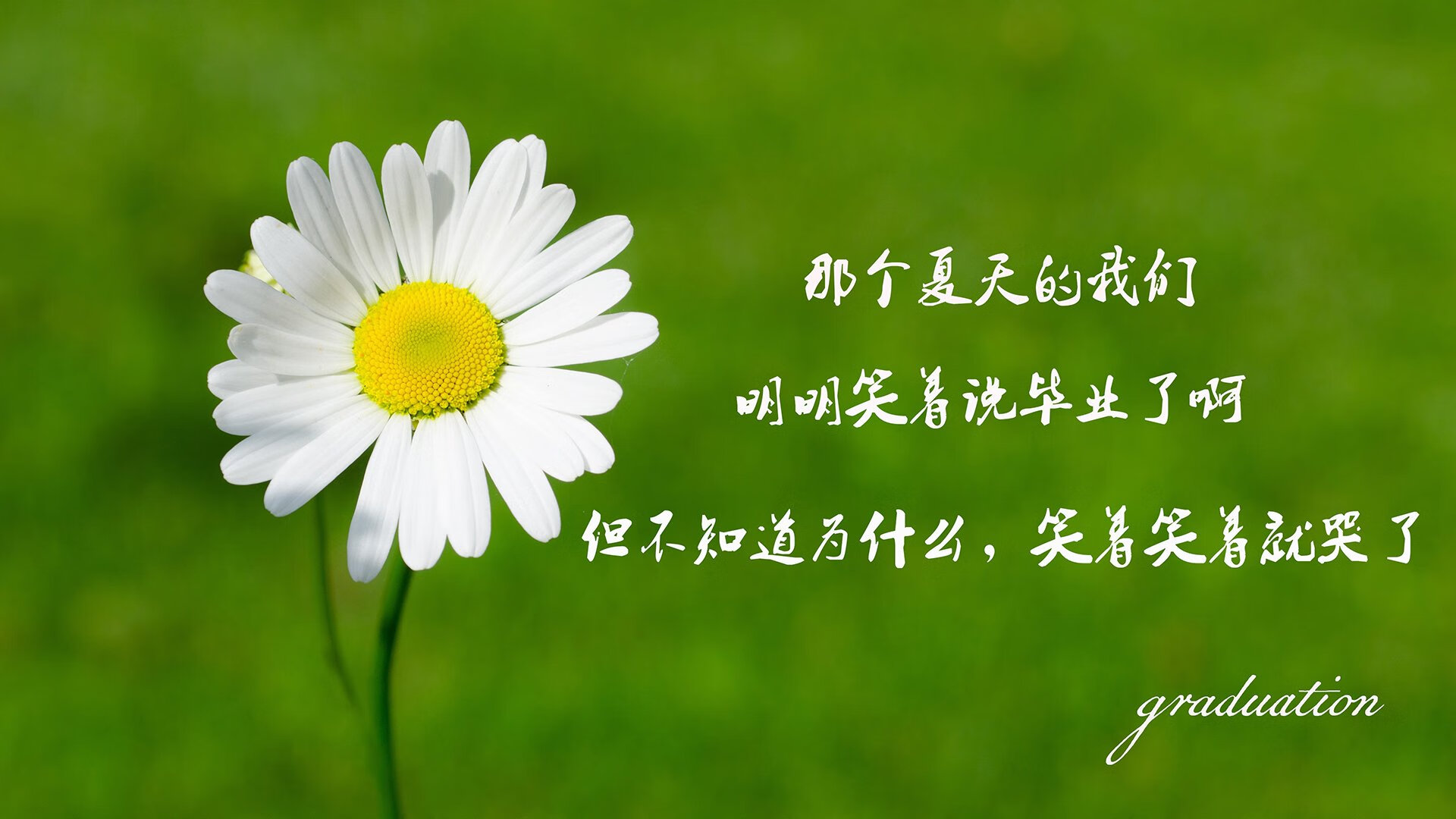 华体会网址-以下是我为你构思的文章标题和内容 第1张 华体会网址-以下是我为你构思的文章标题和内容 第1张